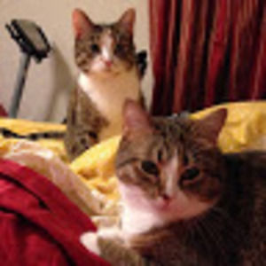 Meet your Posher, Tammy